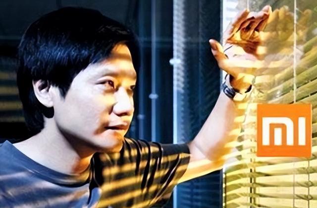 手机国补一个月，小米成最大赢家，苹果是输家？