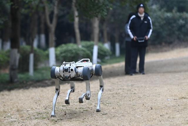 “六小龙”出海全球科技圈 浙江科创样本观察