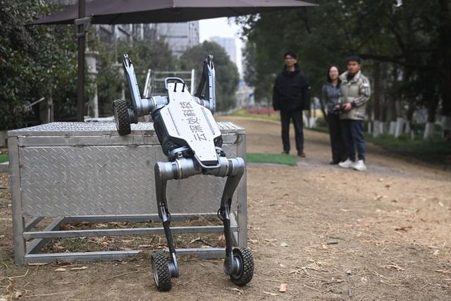 “六小龙”出海全球科技圈 浙江科创样本观察