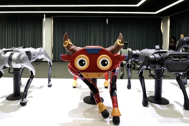 “六小龙”出海全球科技圈 浙江科创样本观察