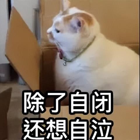 曾经的国产手机一哥突然“复牌”，能王者归来？