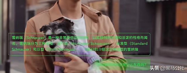 十年后，手机可能就消失了