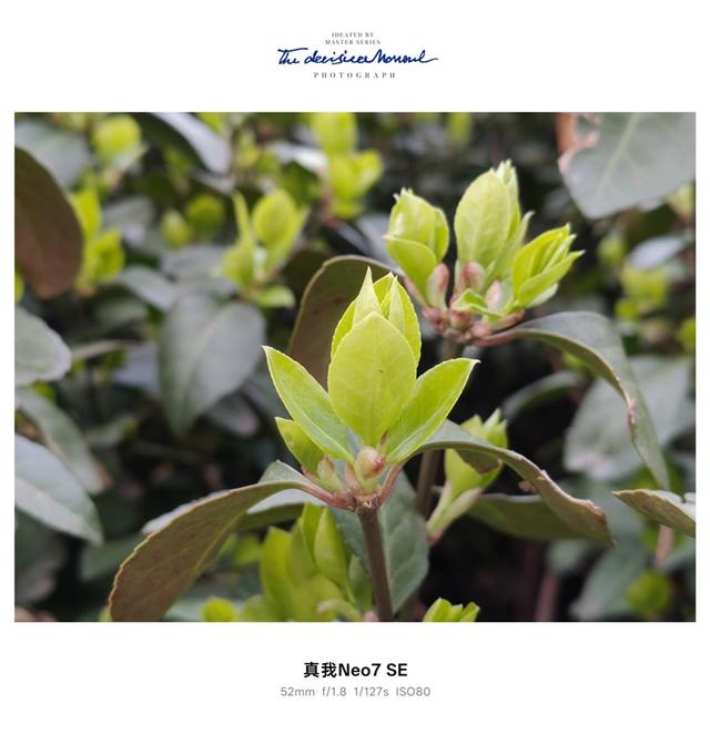 性能、续航双屠夫！真我Neo7 SE评测：2K档最懂年轻人的电竞手机