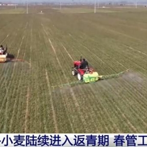 智慧农业为农业现代化插上“科技的翅膀” 让科学种田从梦想照进现实