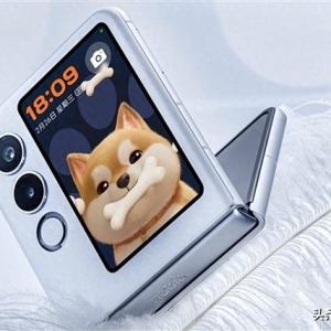 2899元，“人人买得起”的折叠手机，来了！