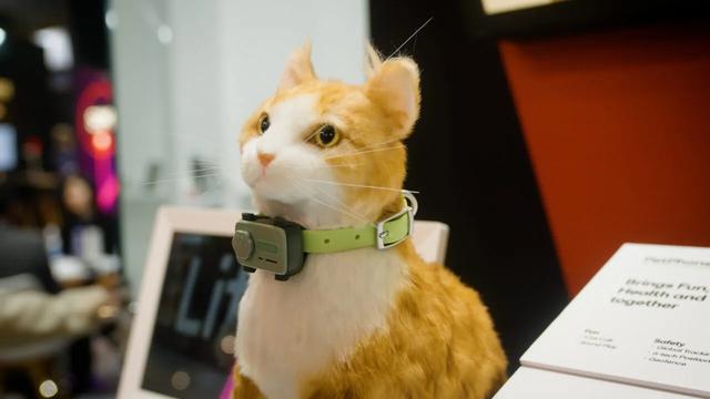 小狗也有智能手机了？MWC25上的黑科技，让我惊掉了下巴