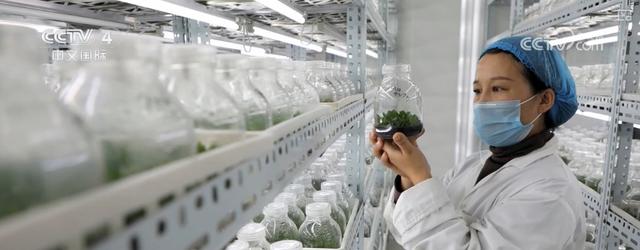 国际投资者对中国科技资产信心增强 新增长动能实现“跨越式发展”