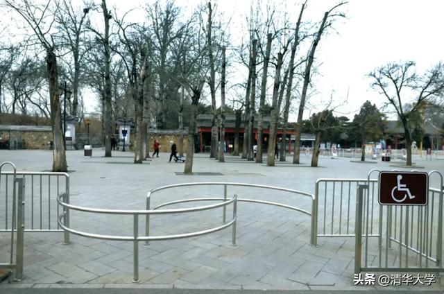 爱与科技同行：清华助力拥抱无限可能