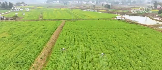 科技力量为春耕生产按下“加速键” 希望的田野上一派生机勃勃