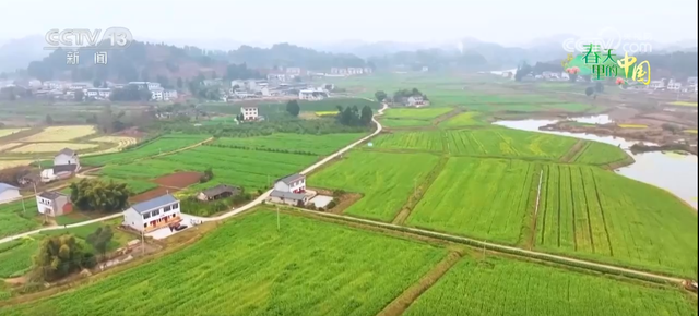 科技力量为春耕生产按下“加速键” 希望的田野上一派生机勃勃