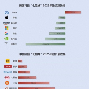 “七姐妹”让位 谁在引领科技股“东升西降”价值重估？