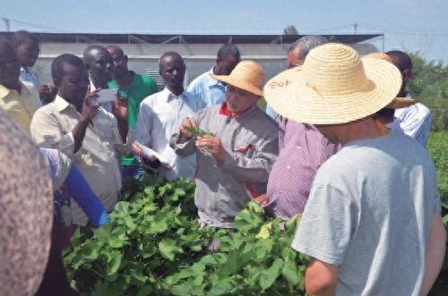 深耕科技“走出去” 助力农业高质量发展