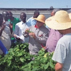 深耕科技“走出去” 助力农业高质量发展