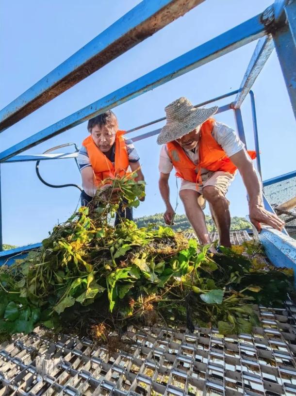 直播预告｜密码：1432