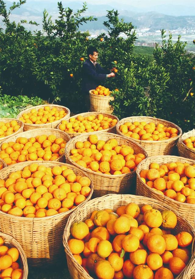 直播预告｜密码：1432