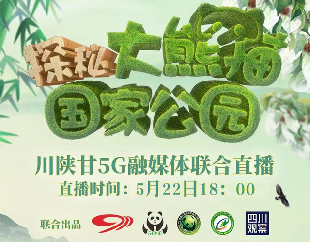 直播预告丨滚滚没看够？今晚继续！