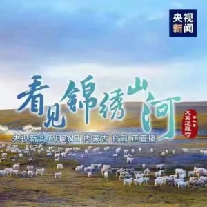 中央电视台直播预告