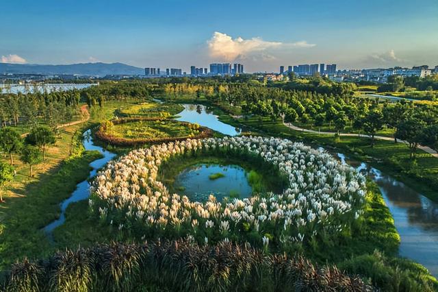 【直播预告】2025弥勒“玫瑰马”：5月18日，一起踏上浪漫玫瑰赛道，跑出梦幻之旅！