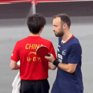 今晚中央五套乒乓球直播表:CCTV5、CCTV5+节目表