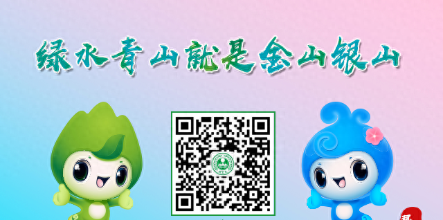 直播预告｜定了！6月5日上午10点！