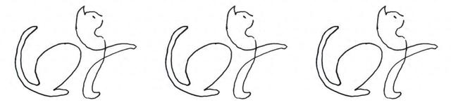 直播预告｜为了在流俗地游走，我们为你准备了猫与地图