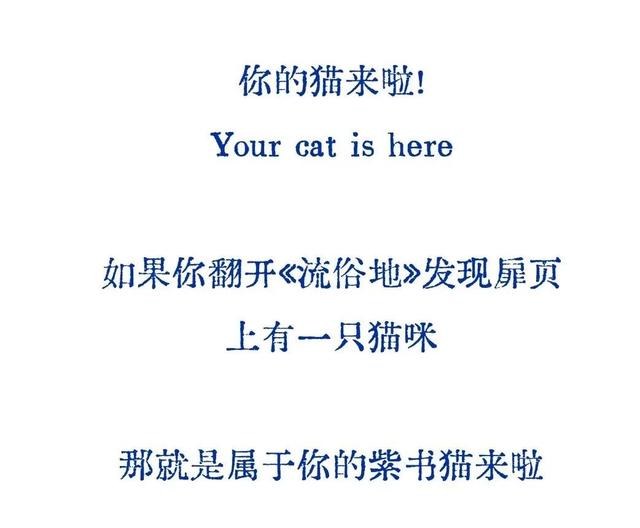 直播预告｜为了在流俗地游走，我们为你准备了猫与地图