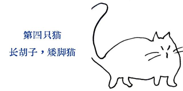 直播预告｜为了在流俗地游走，我们为你准备了猫与地图