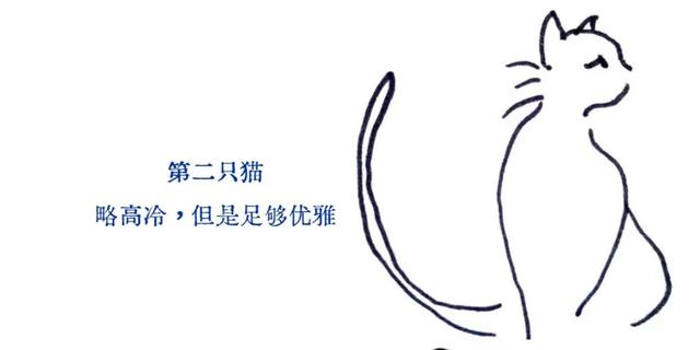 直播预告｜为了在流俗地游走，我们为你准备了猫与地图