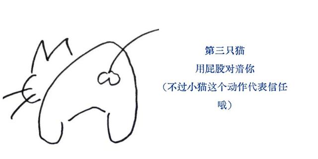 直播预告｜为了在流俗地游走，我们为你准备了猫与地图