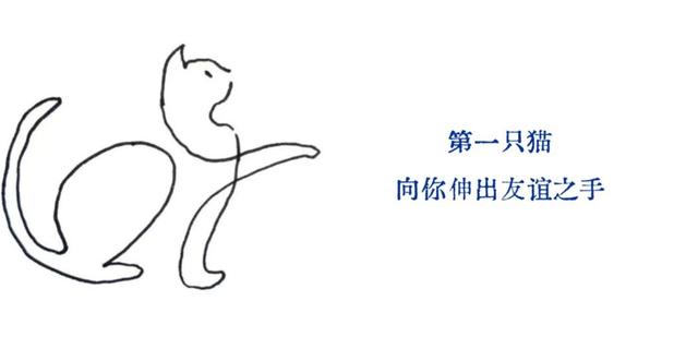 直播预告｜为了在流俗地游走，我们为你准备了猫与地图